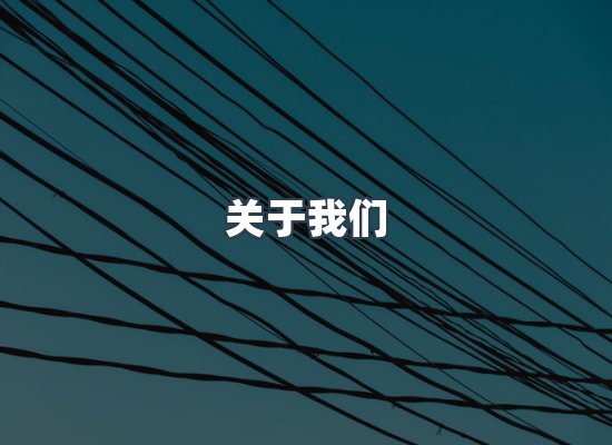 专业团队