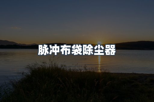 脉冲布袋除尘器